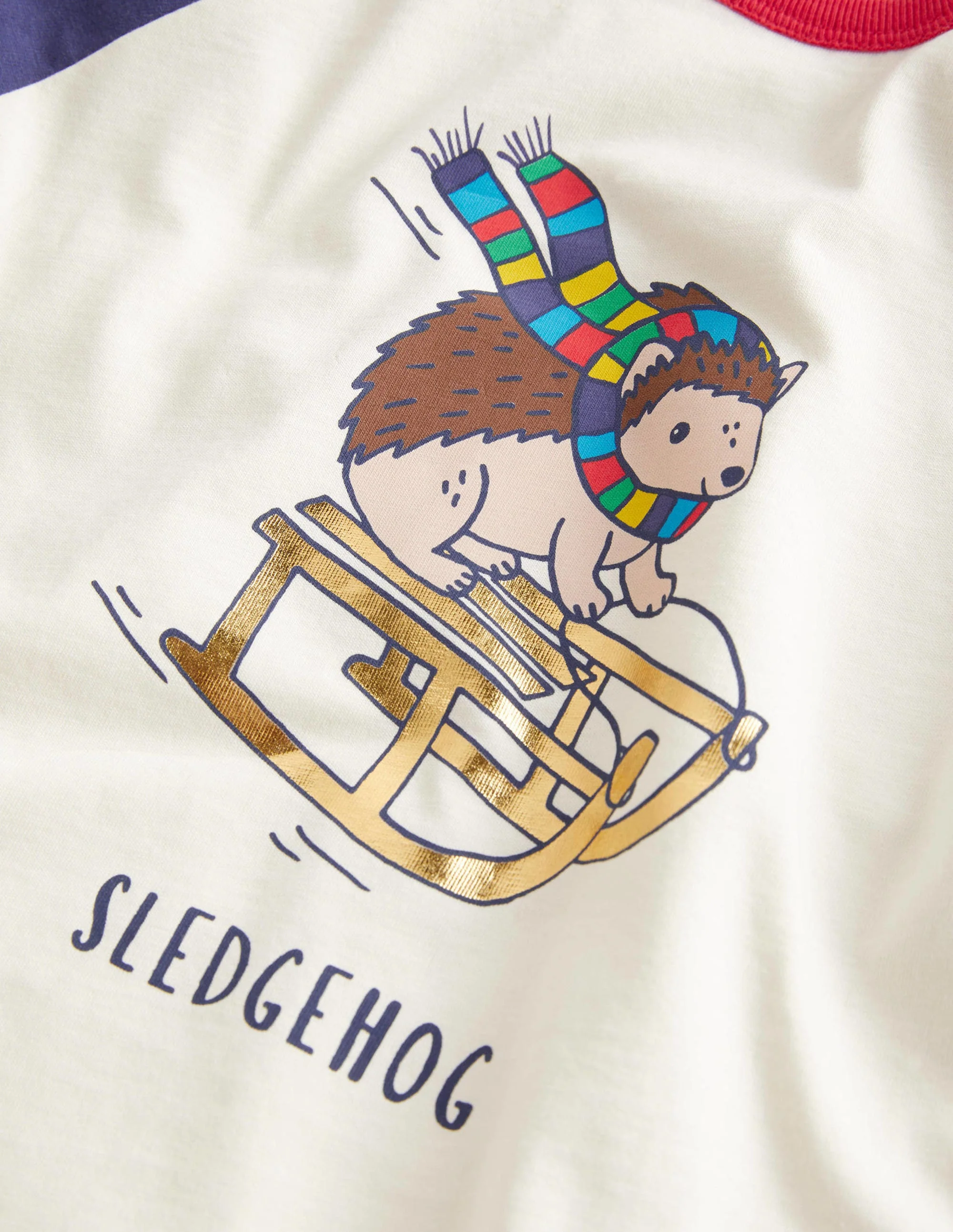Festive Raglan T-shirt-Ivory Sledgehog - Image 3