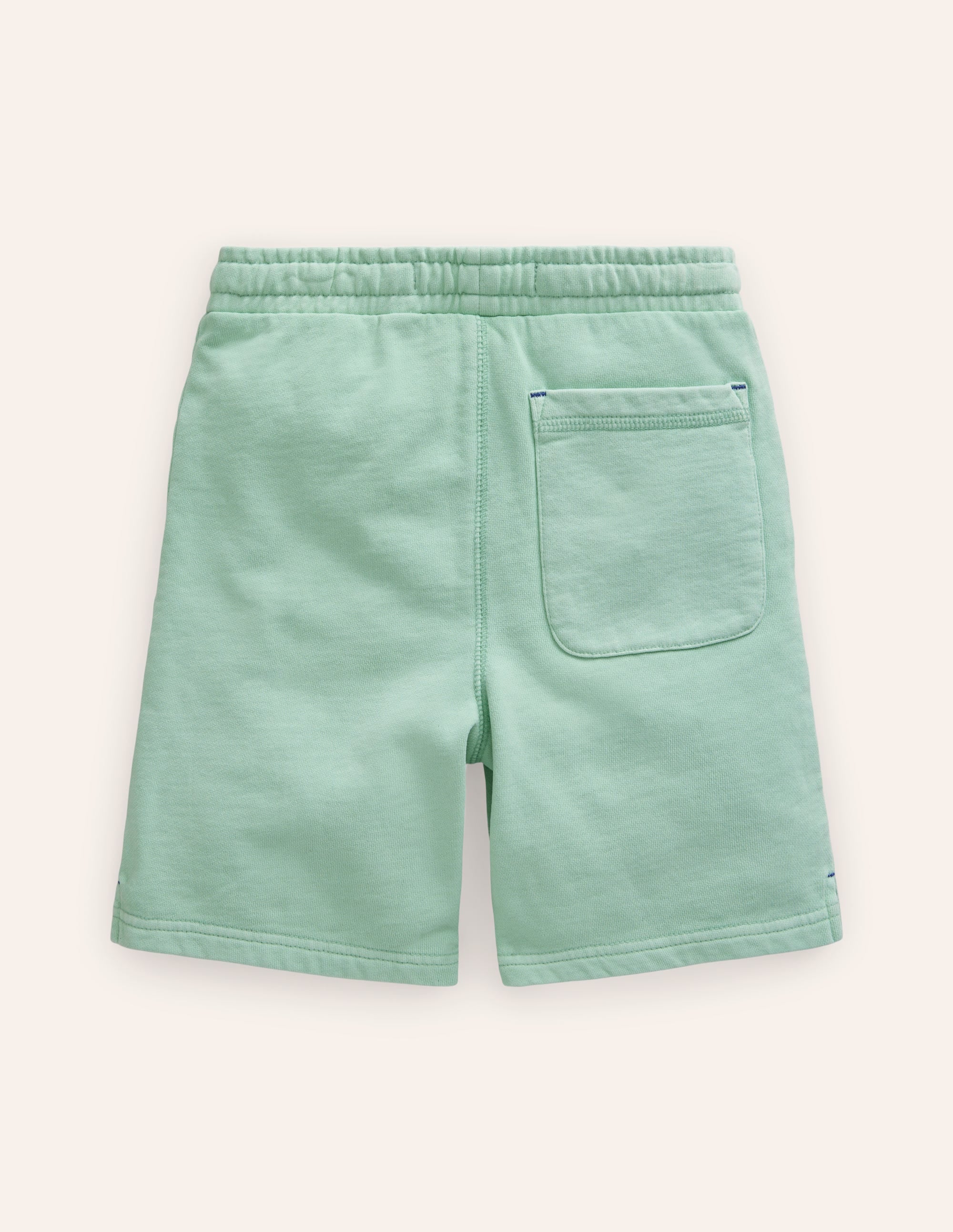 Garment Dye Shorts-JellyFish Green - Image 2