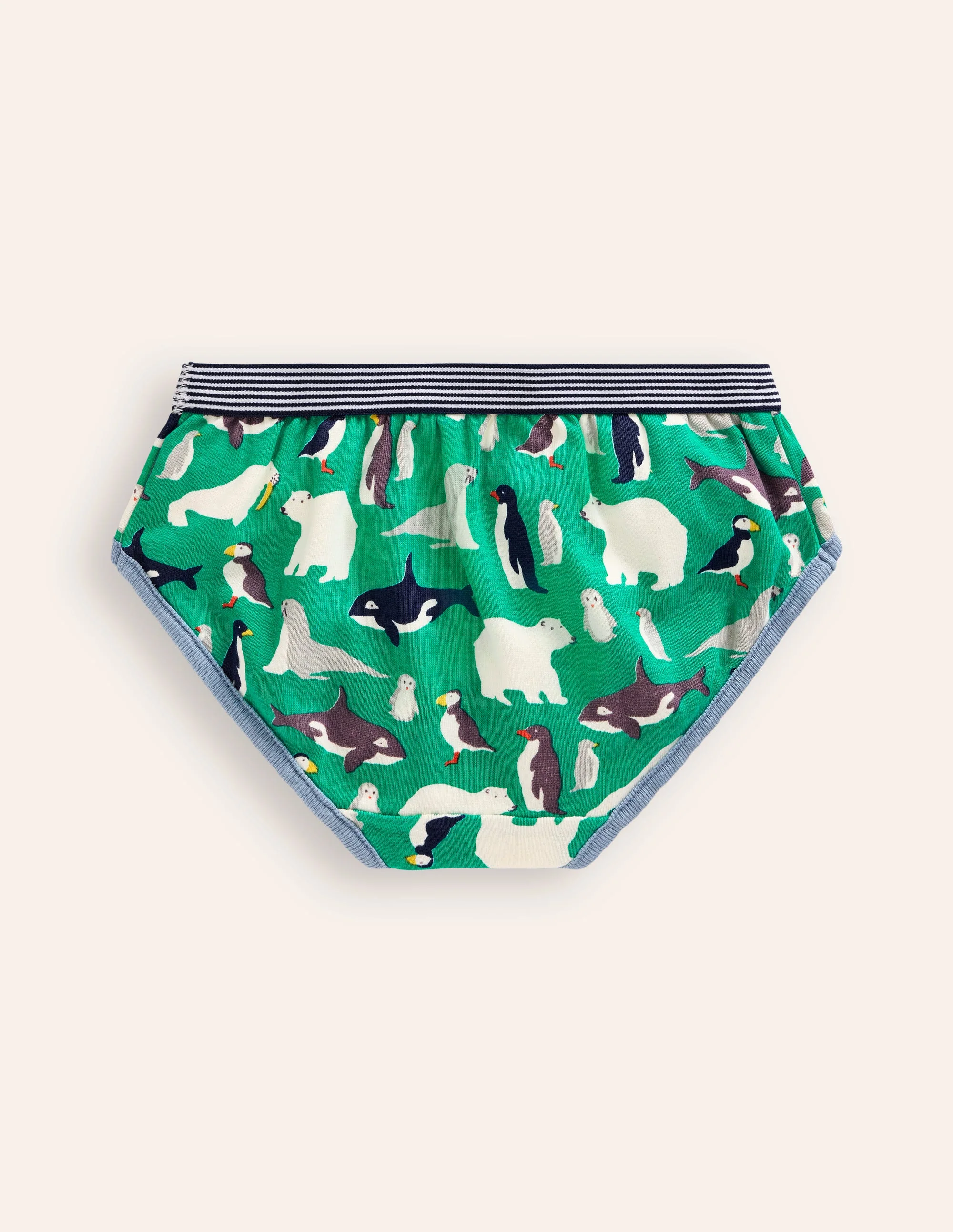 Underwear 5 Pack-Multi Arctic - Image 2